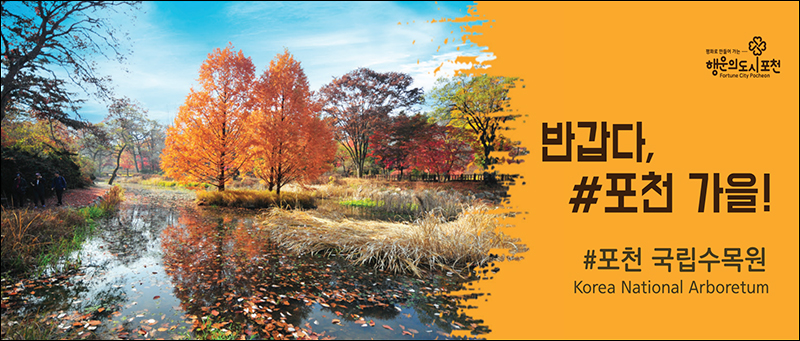 반갑다, #포천 가을! #포천 국립수목원 Korea National Arboretum